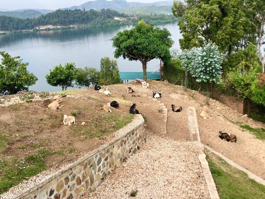 Amazi Land Home And Farm Stay Kibuye Dış mekan fotoğraf