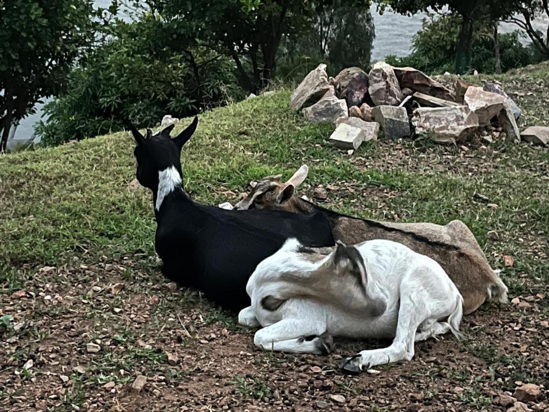 Amazi Land Home And Farm Stay Kibuye Dış mekan fotoğraf