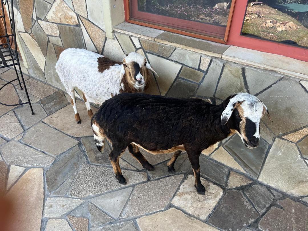 Amazi Land Home And Farm Stay Kibuye Dış mekan fotoğraf