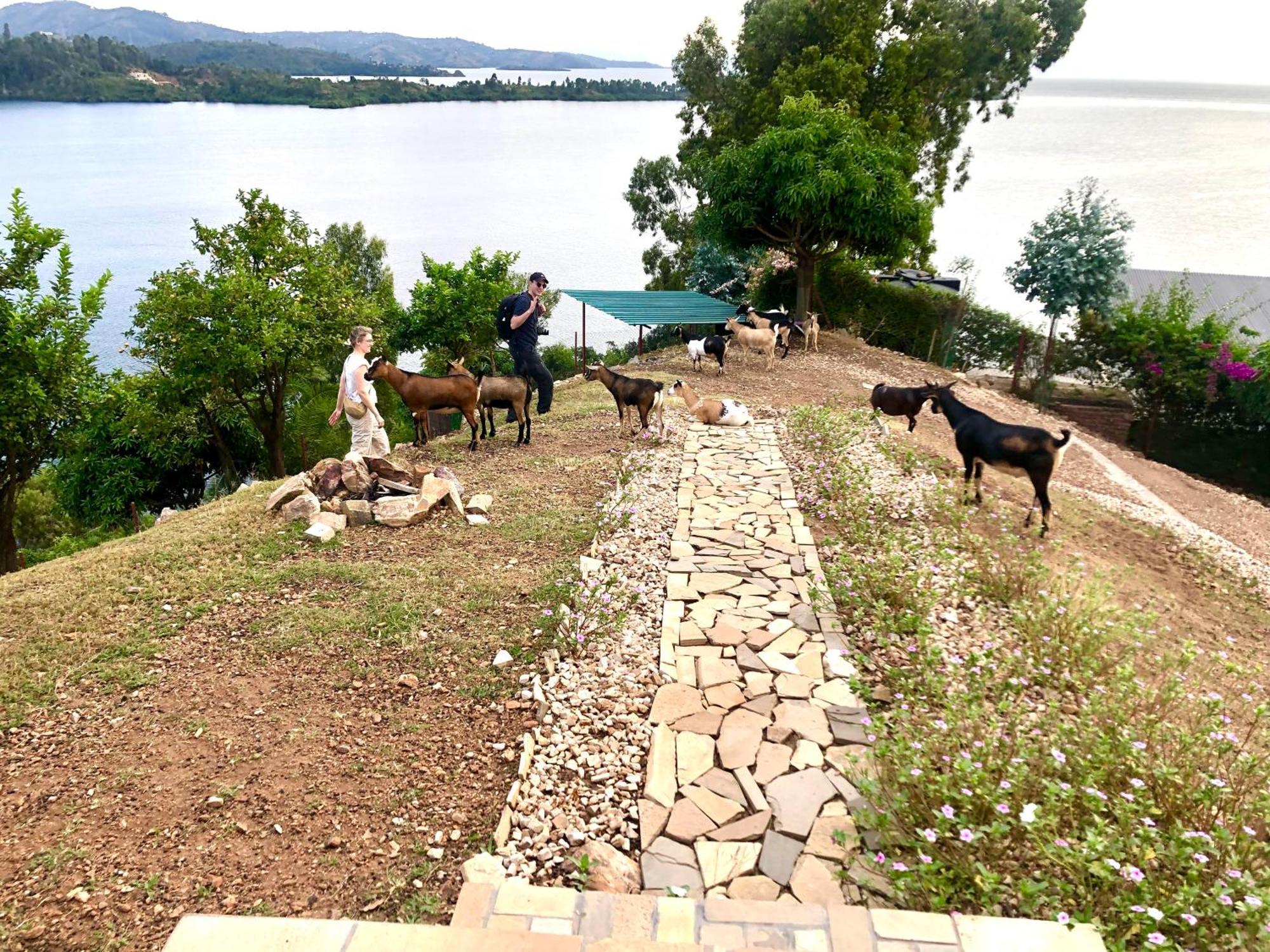 Amazi Land Home And Farm Stay Kibuye Dış mekan fotoğraf